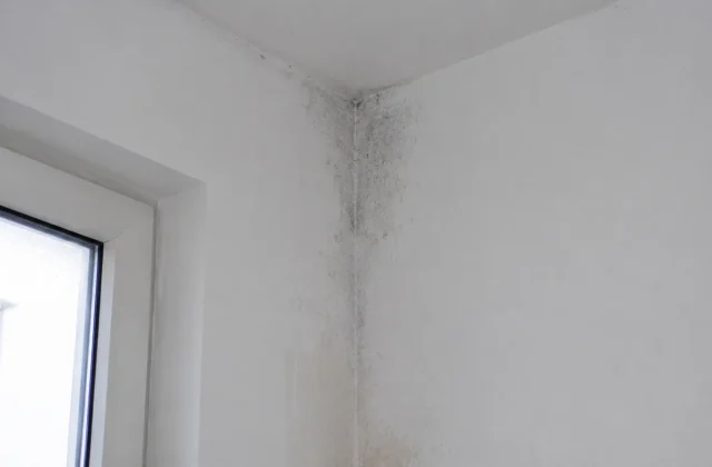 Apartman dairesinde soğuk duvar ve küf bölgesinin termal taraması
